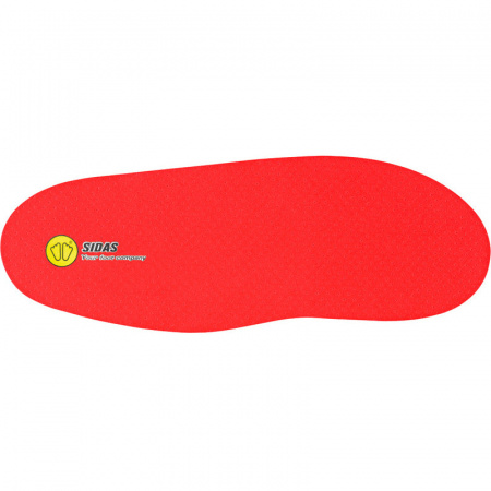 sidaswintercustomski1